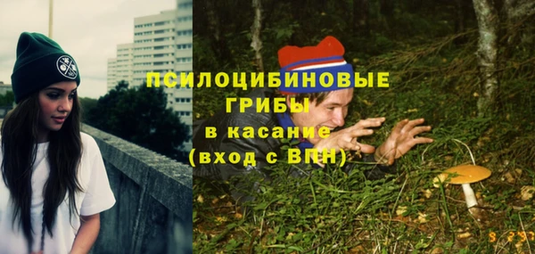прущие грибы Кукмор