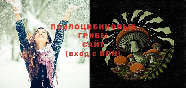 мдпв Куйбышев