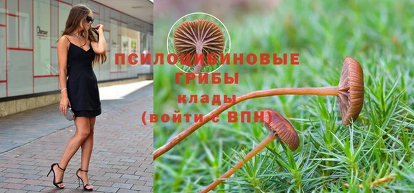 мдпв Куйбышев