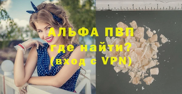 прущие грибы Кукмор
