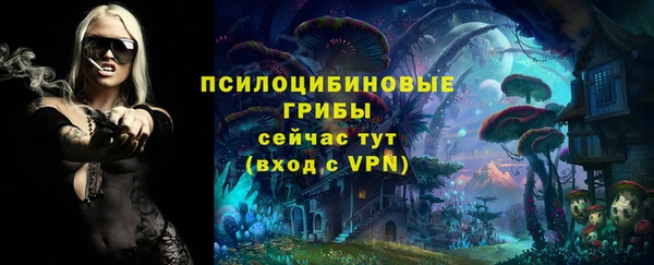 мдпв Куйбышев