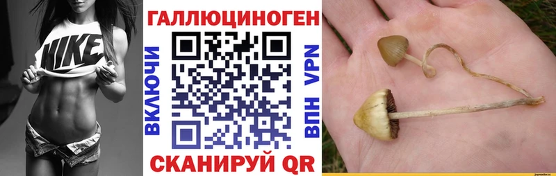 Псилоцибиновые грибы Psilocybe  цена наркотик  Медынь 